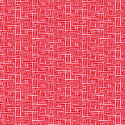 Transparency - Fence | Rhubarb