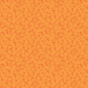 Transparency - Lantern | Pumpkin