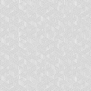 Transparency - Linework | Granite