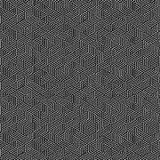 Transparency - Linework | Black/White