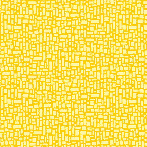 Transparency - Pathway | Lemon