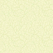 Branches | Aloe