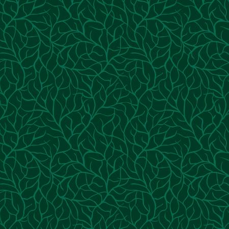 Branches | Evergreen