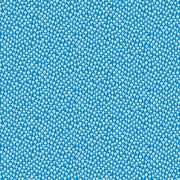 Jazz Age | Hudson - Water