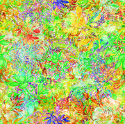On Painted Wings | Floral - Lime