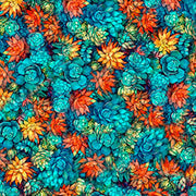 Oasis | Succulents
