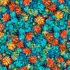 Oasis | Succulents