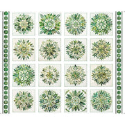 Sylvan Essence | Picture Patches - Botanical