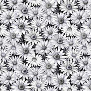 Scarlet's Treasure | Daisies - Black