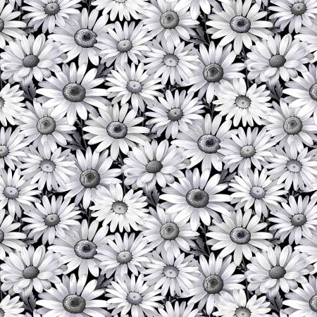 Scarlet's Treasure | Daisies - Black