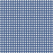 America the Beautiful | Painted Gingham - Denim