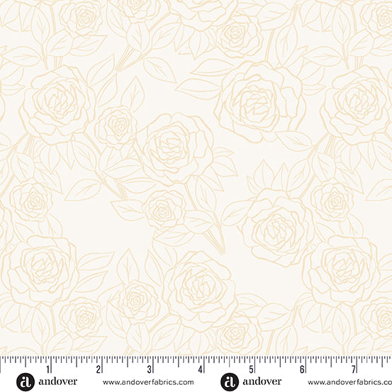 Color Me Pretty | Rose Bloom - Cream