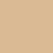 ColorPlay | Camel
