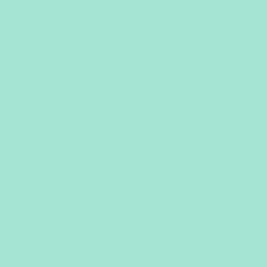 ColorPlay | Mint