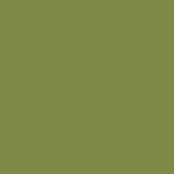 ColorPlay | Olive