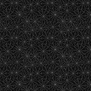 Spider Webs | Black
