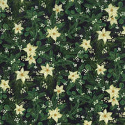 Poinsettia Blooms | Black