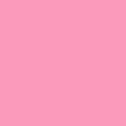 Ecco | Bubblegum