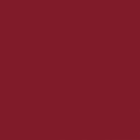 Ecco | Garnet