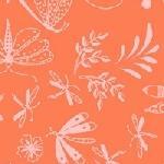 Aerial | Orange Wingspan