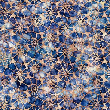 Aquatica | Brown Nautilus