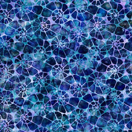 Aquatica | Blue Nautilus