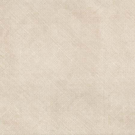 Wheat Burlap Texture