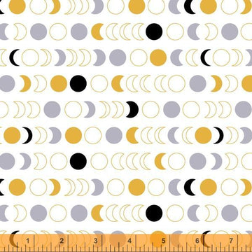 Orbit | White Moon Phases