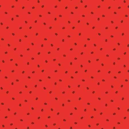 Red Hot | Ladybugs