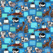 Cat Call