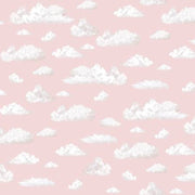Let's Go On An Adventure | Passing Clouds - Pink