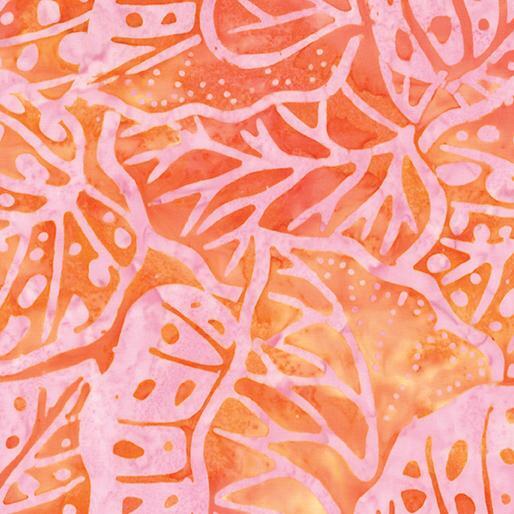 Sweet Rose II | Creamsicle Monstera