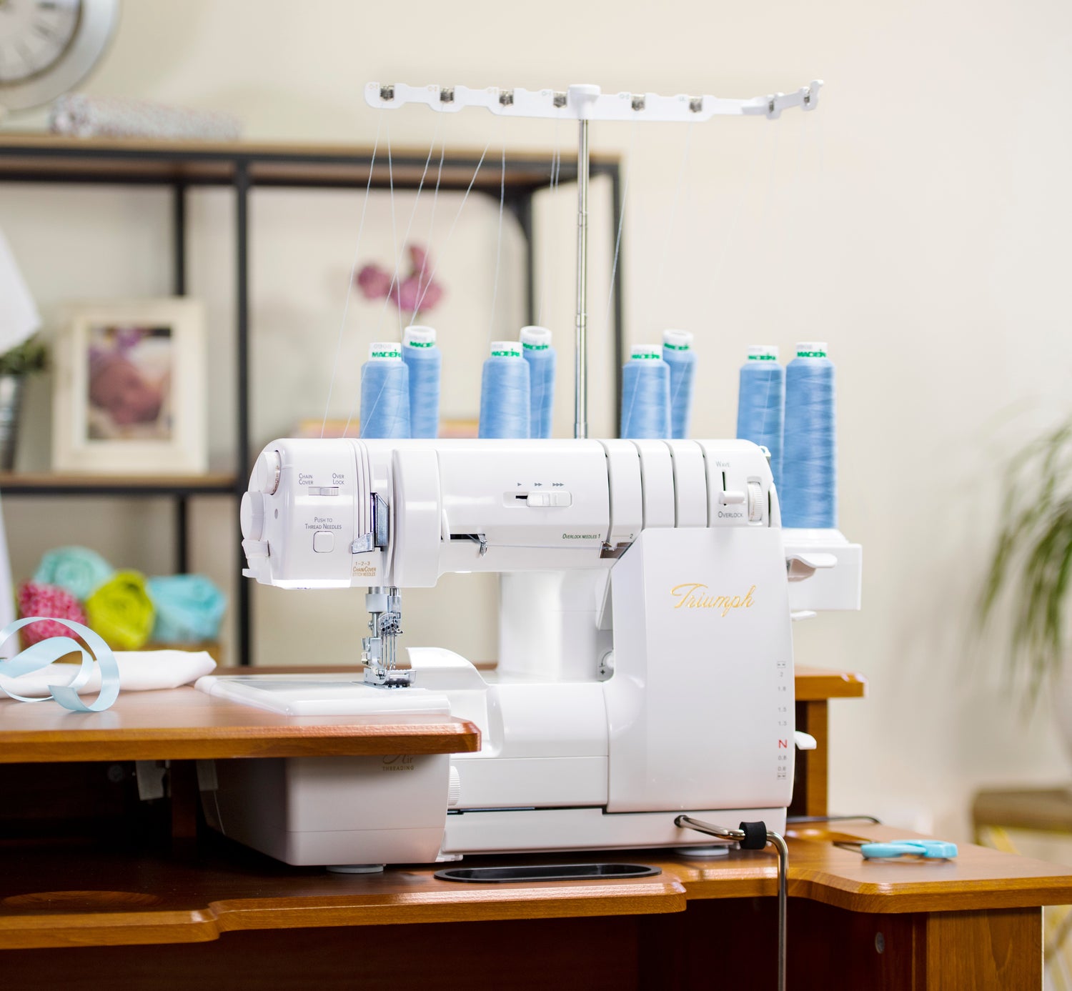 Baby Lock Triumph