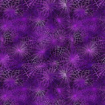 Into The Web | Webs - Purple