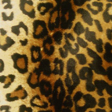 WinterFleece | Leopard Skin