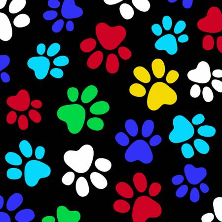 WinterFleece | New Paws