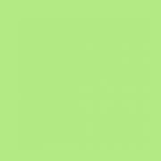 American Made | Lime