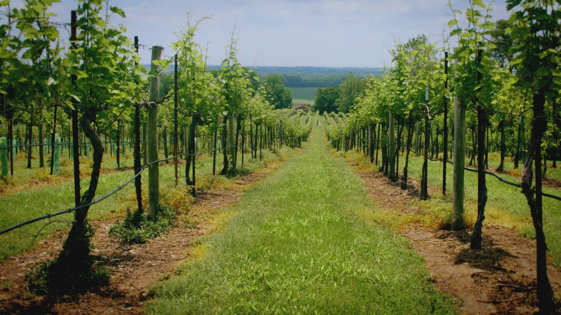 Load video: Baby Lock Radiance
