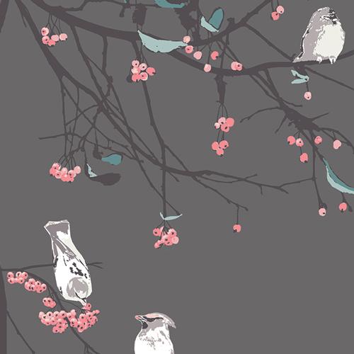 Bird Songs | Moon