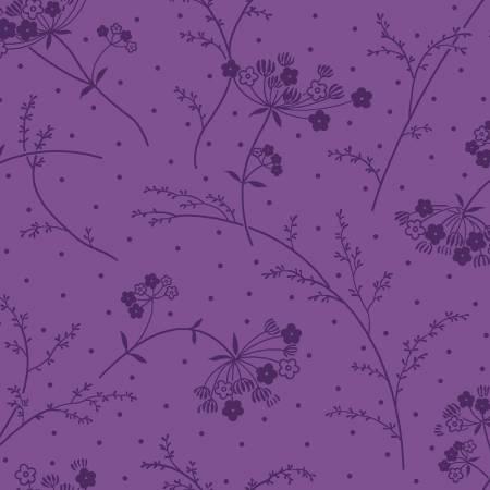 Purple Queen Anne's Lace