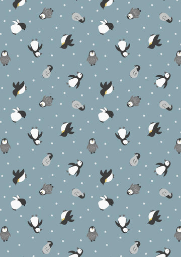Polar Animals | Blue Penguins