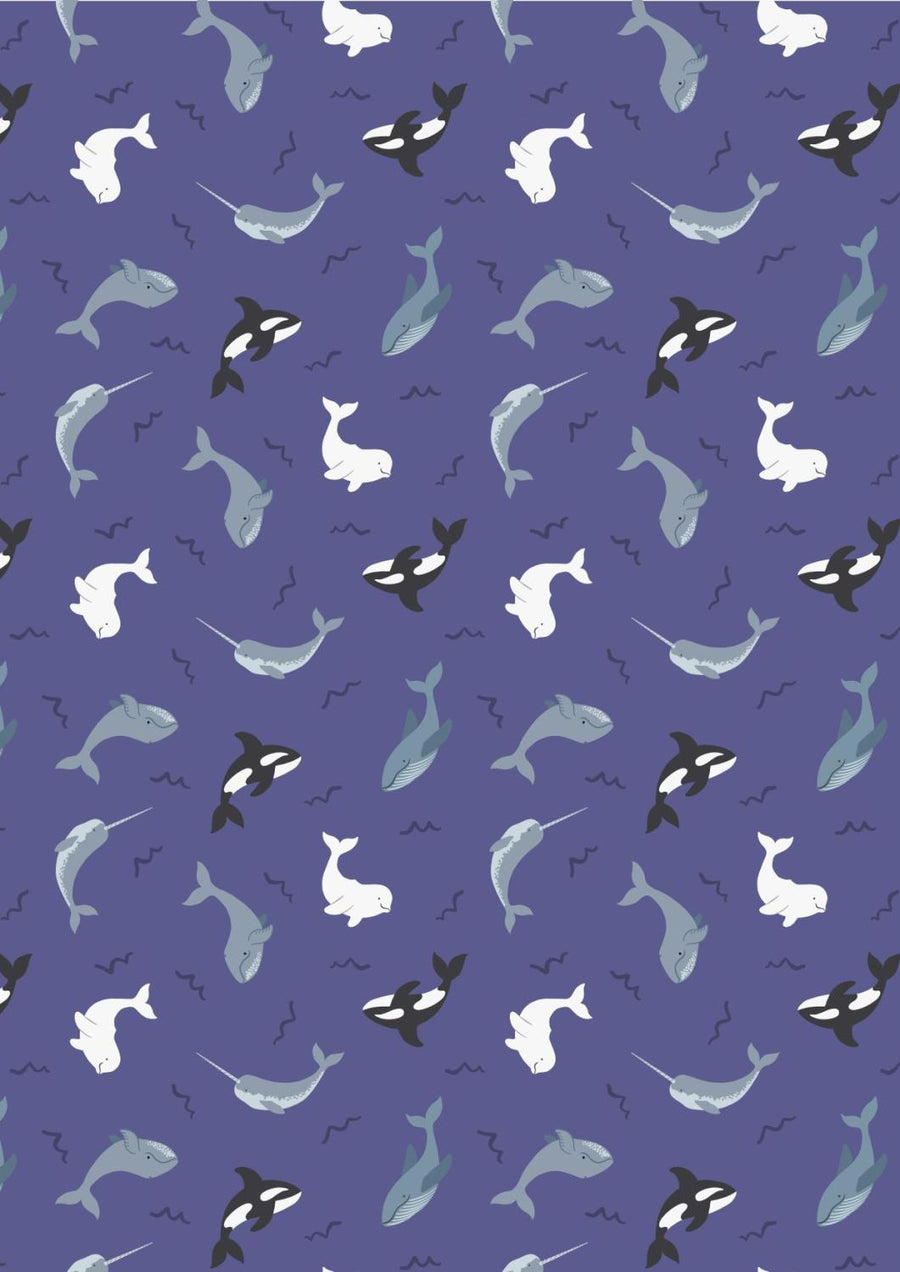 Polar Animals | Blue Whales