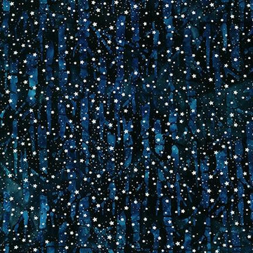 Magical Winter | Starry Night