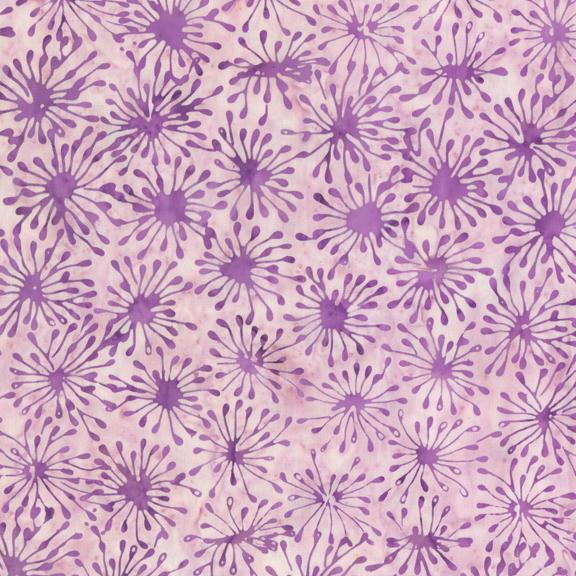 QE5 | Lilac Cells