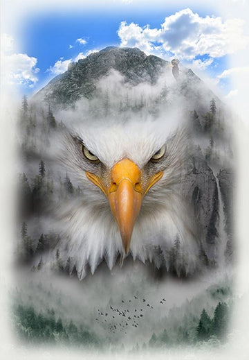 Call of the Wild | Eagle
